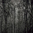 Singled-Out